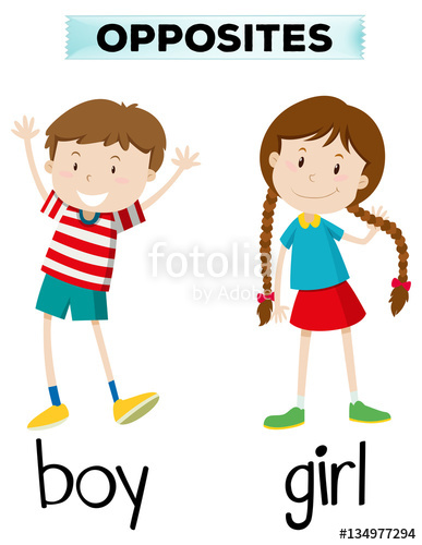 Opposite words for boy and girl