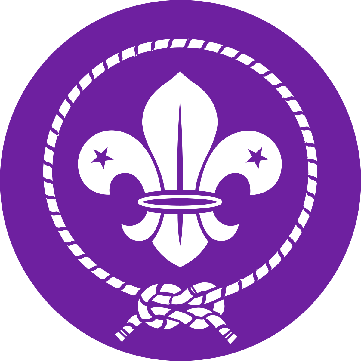World Scout Emblem.