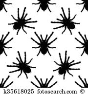 Brachypelma Clip Art Royalty Free. 13 brachypelma clipart vector.