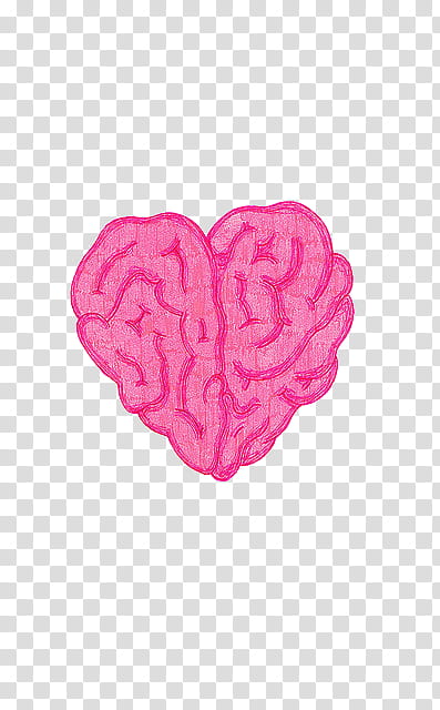 Super , heart shaped brain transparent background PNG.