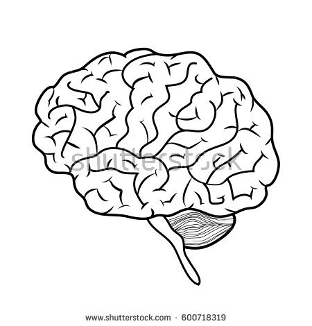 brain outline clipart black and white facing forward 20 free Cliparts ...