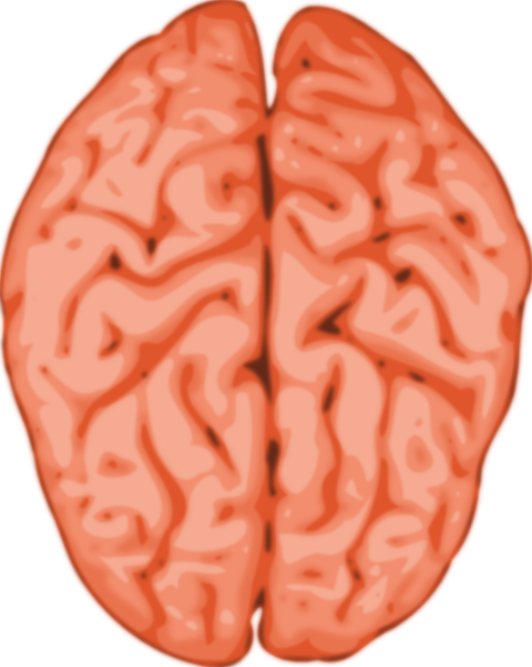 Free to Use & Public Domain Brain Clip Art.