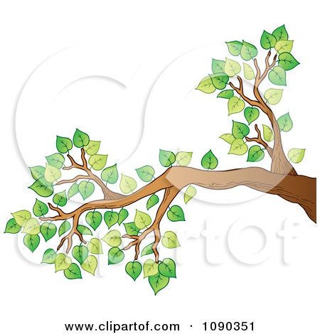 Green foliage and branches clipart 20 free Cliparts | Download images