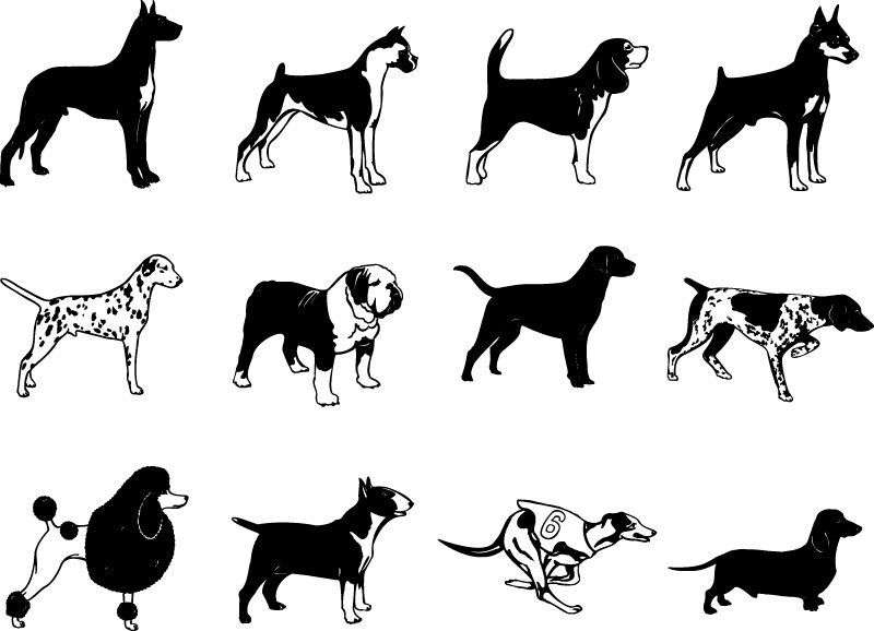Free Dog Breeds Clipart.