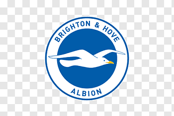 Football, Brighton Hove Albion Fc, Tottenham Hotspur Fc.