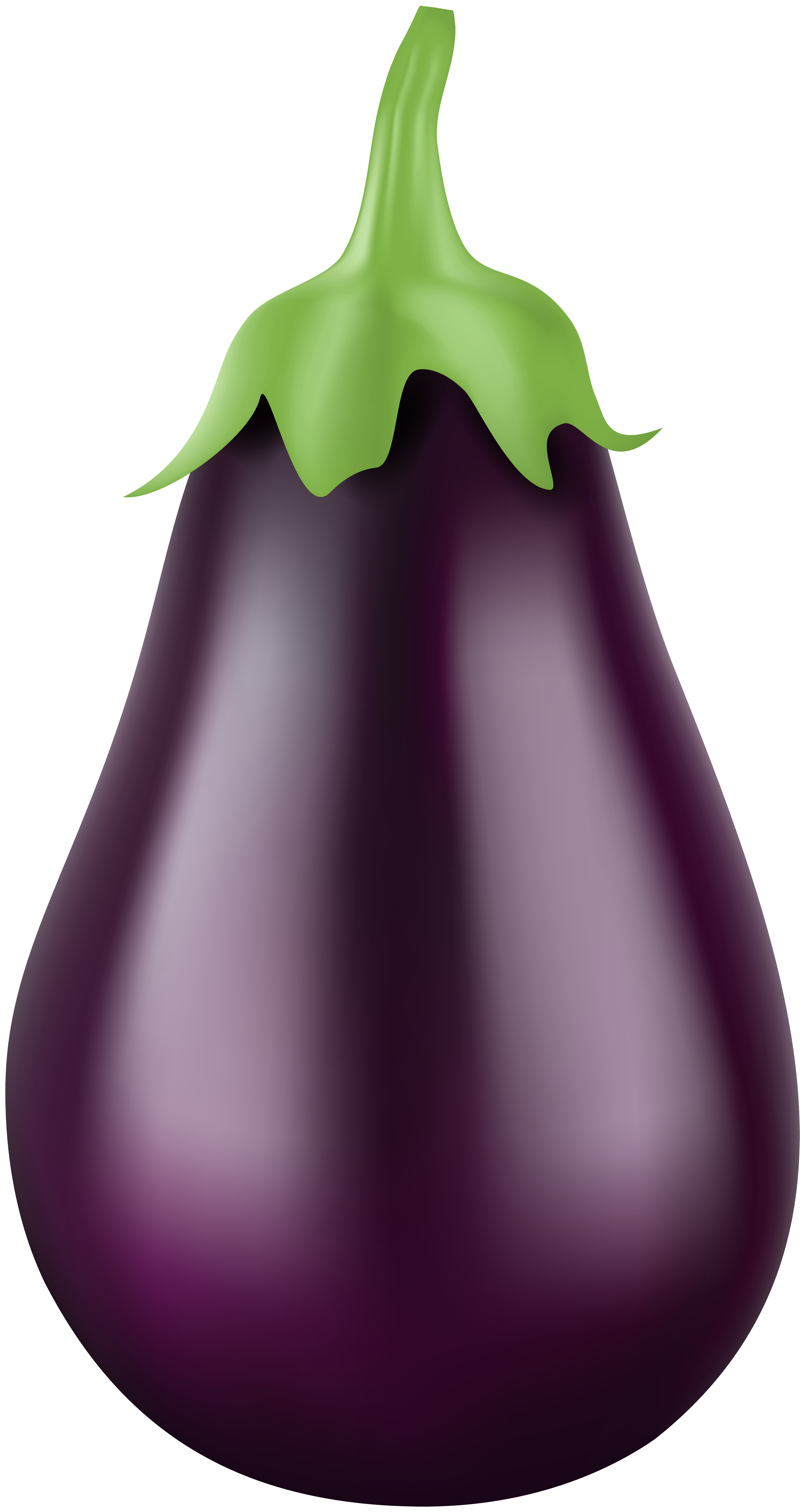 Eggplant PNG Clip Art Image.