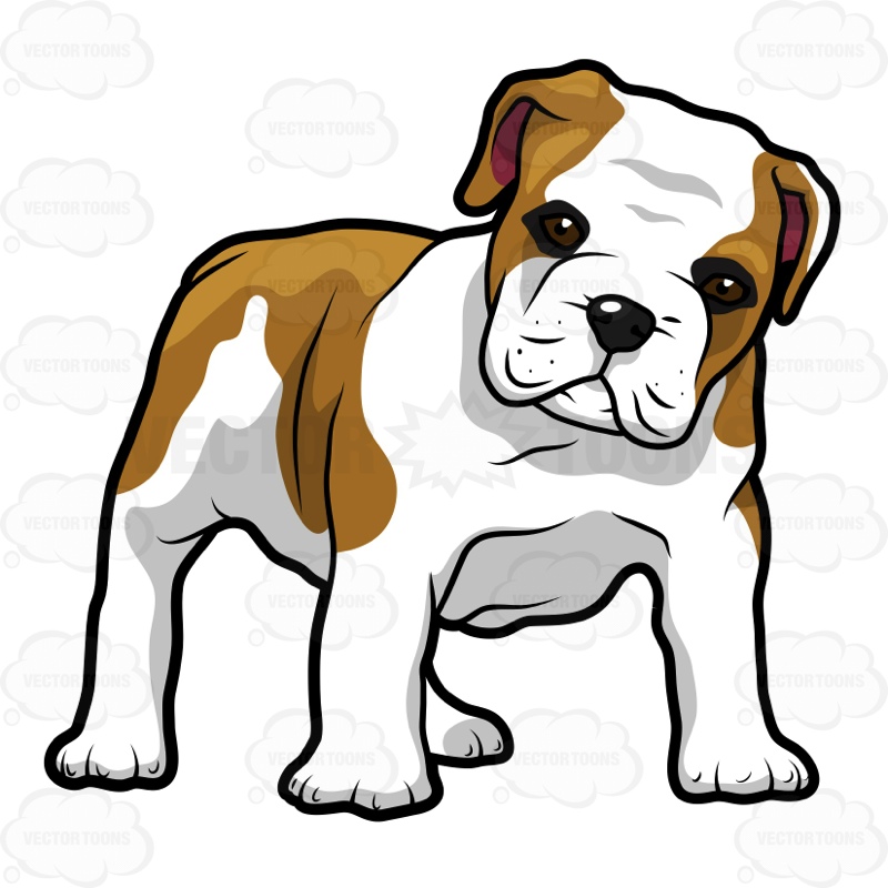 Showing post & media for British bulldog puppy cartoon.