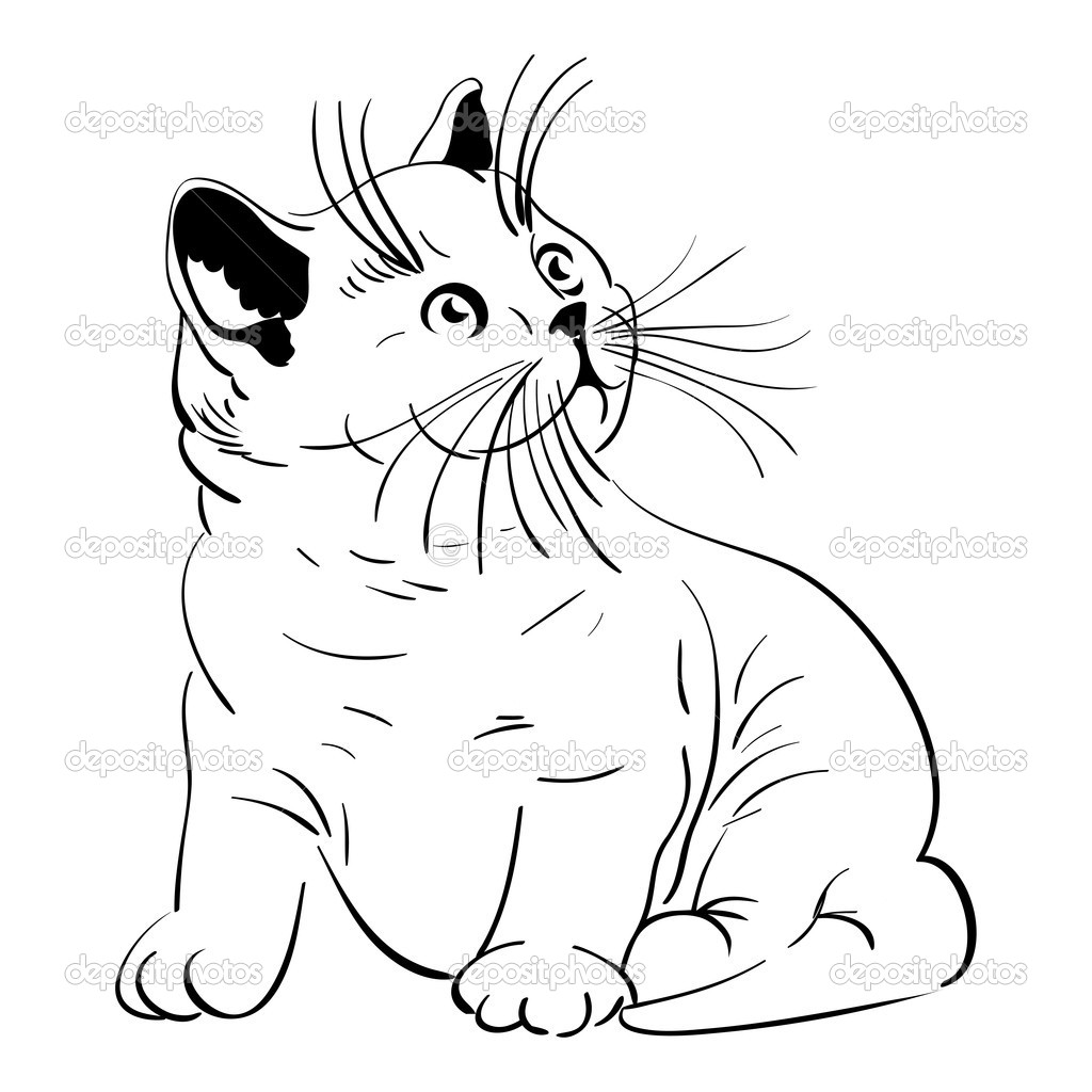 Vector cute little fluffy kitten British — Stock Vector © olgacov.