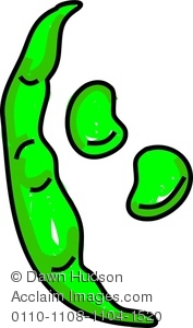 Clipart Image of A Whimsical Drawing Of Broad Beans.