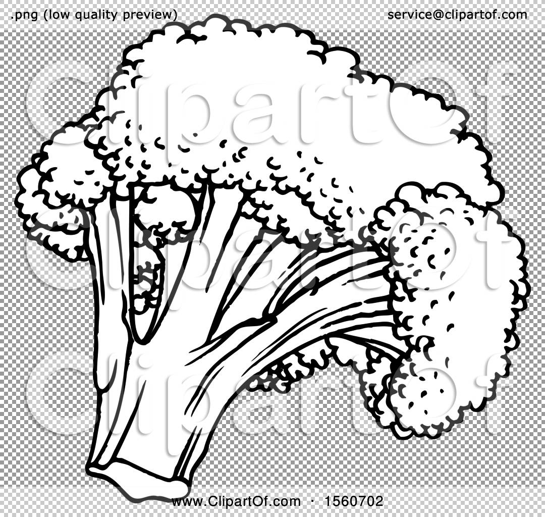 Clipart of Black and White Broccoli.