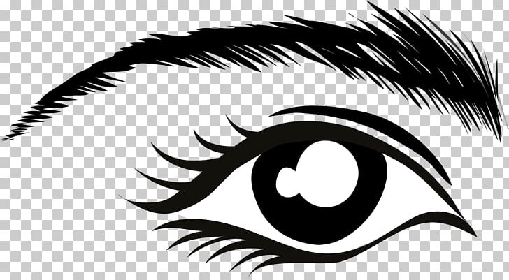 Eyebrow Eye color , eye brow PNG clipart.