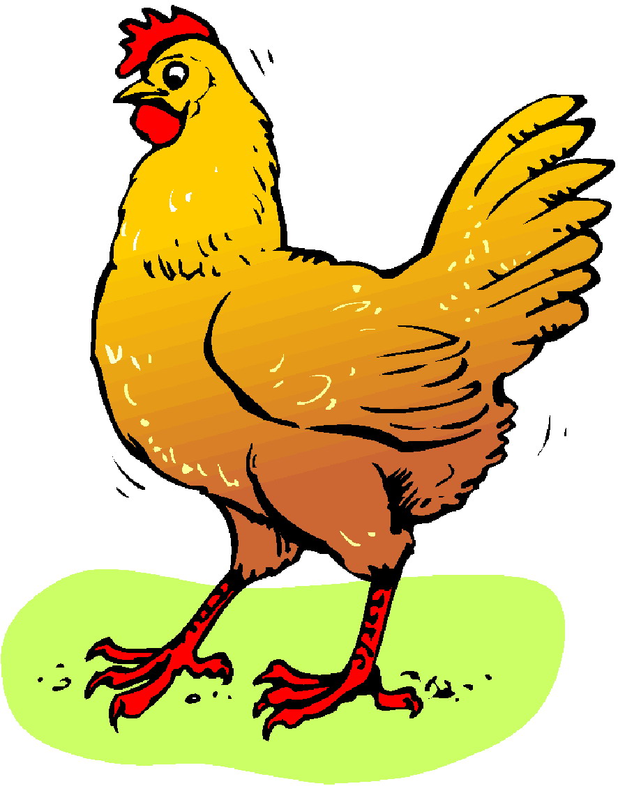Chicken clipart images.