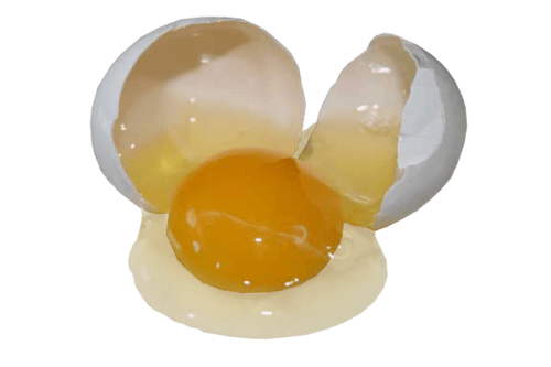 broken egg png 20 free Cliparts | Download images on Clipground 2021