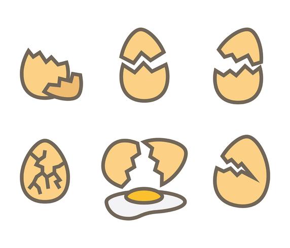 Broken Egg Vector Icon.
