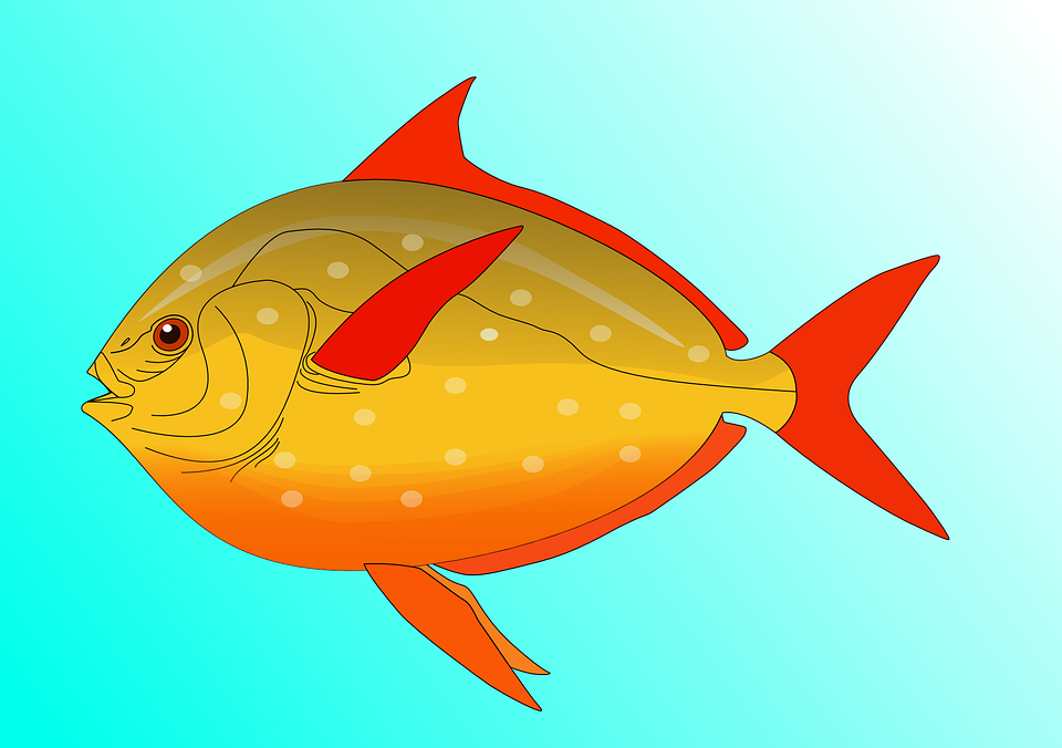 Free vector graphic: Fish, Water, Swim, Colorful.
