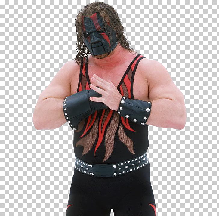 WWE Professional wrestling The Brothers of Destruction Mask.