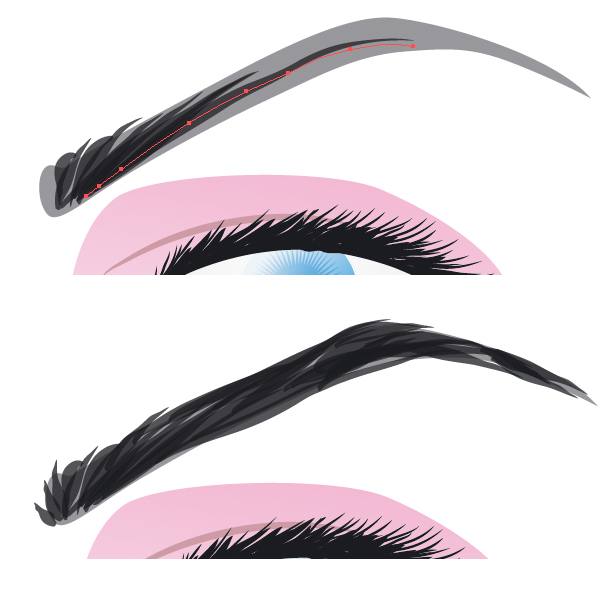 Clipart of eye brow.