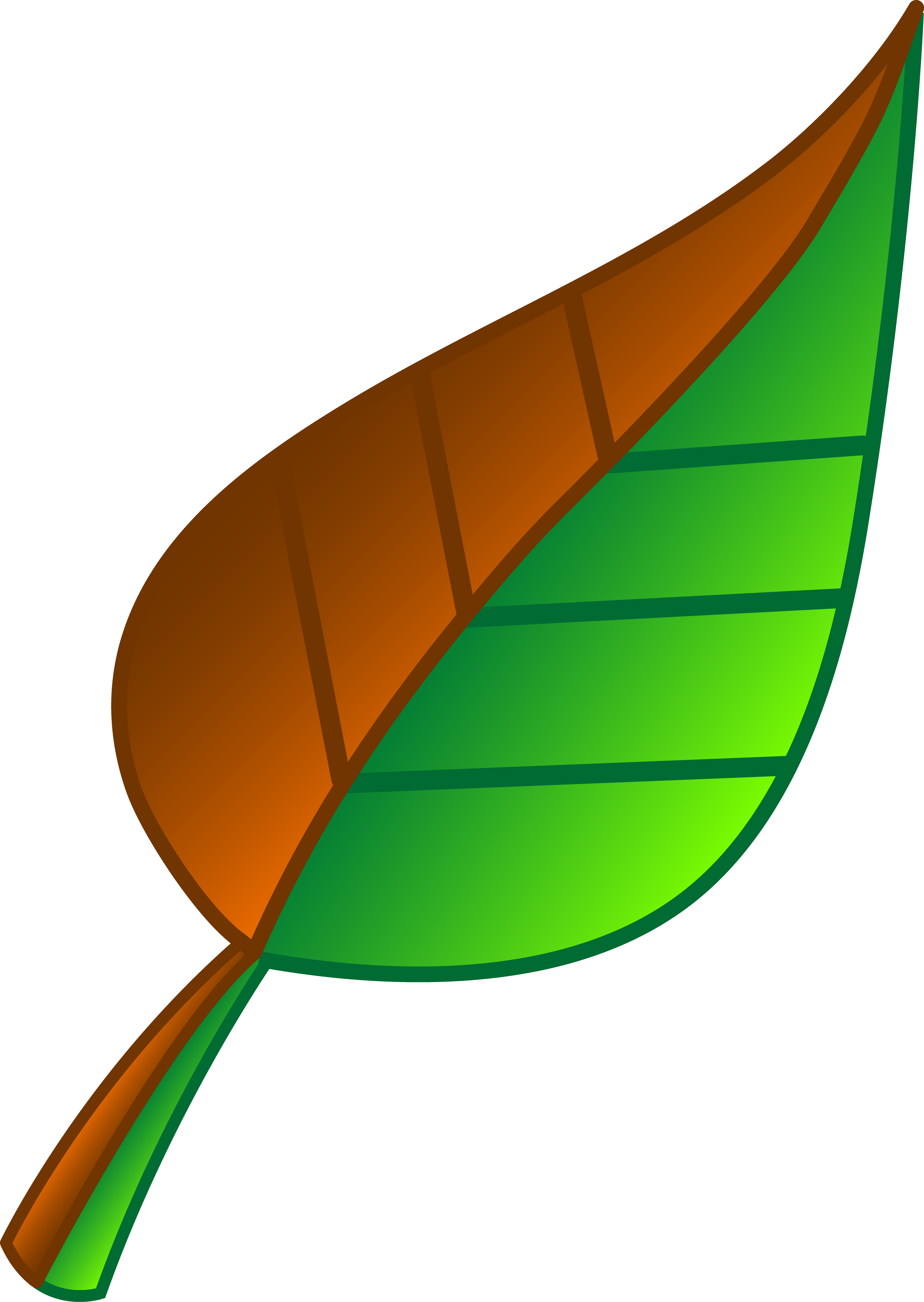 Brown and Green Leaf.