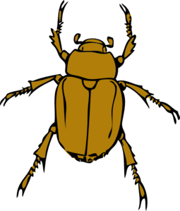 Chafer Bug Clip Art at Clker.com.