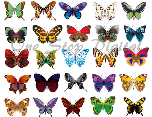 Brown butterfly clipart 20 free Cliparts | Download images on ...
