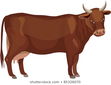 Brown Cow Clipart (96+ images in Collection) Page 1.