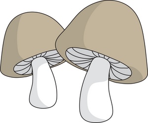 Mushrooms Clipart Image.