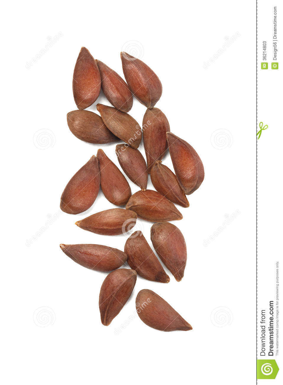 Brown seed clipart 20 free Cliparts | Download images on Clipground 2021