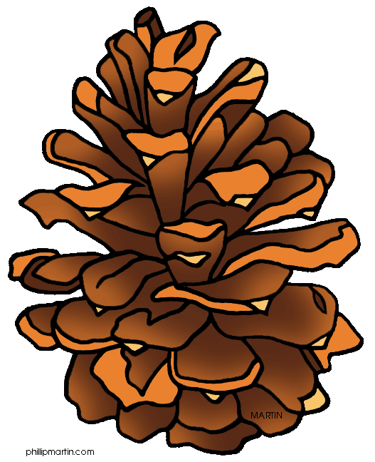Norway Pine Clipart.
