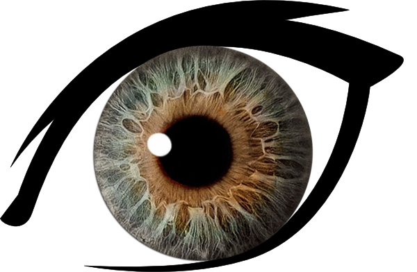 Clipart of brownish green eye.