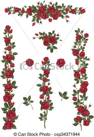 EPS Vector of set brushes flowers climbing roses.