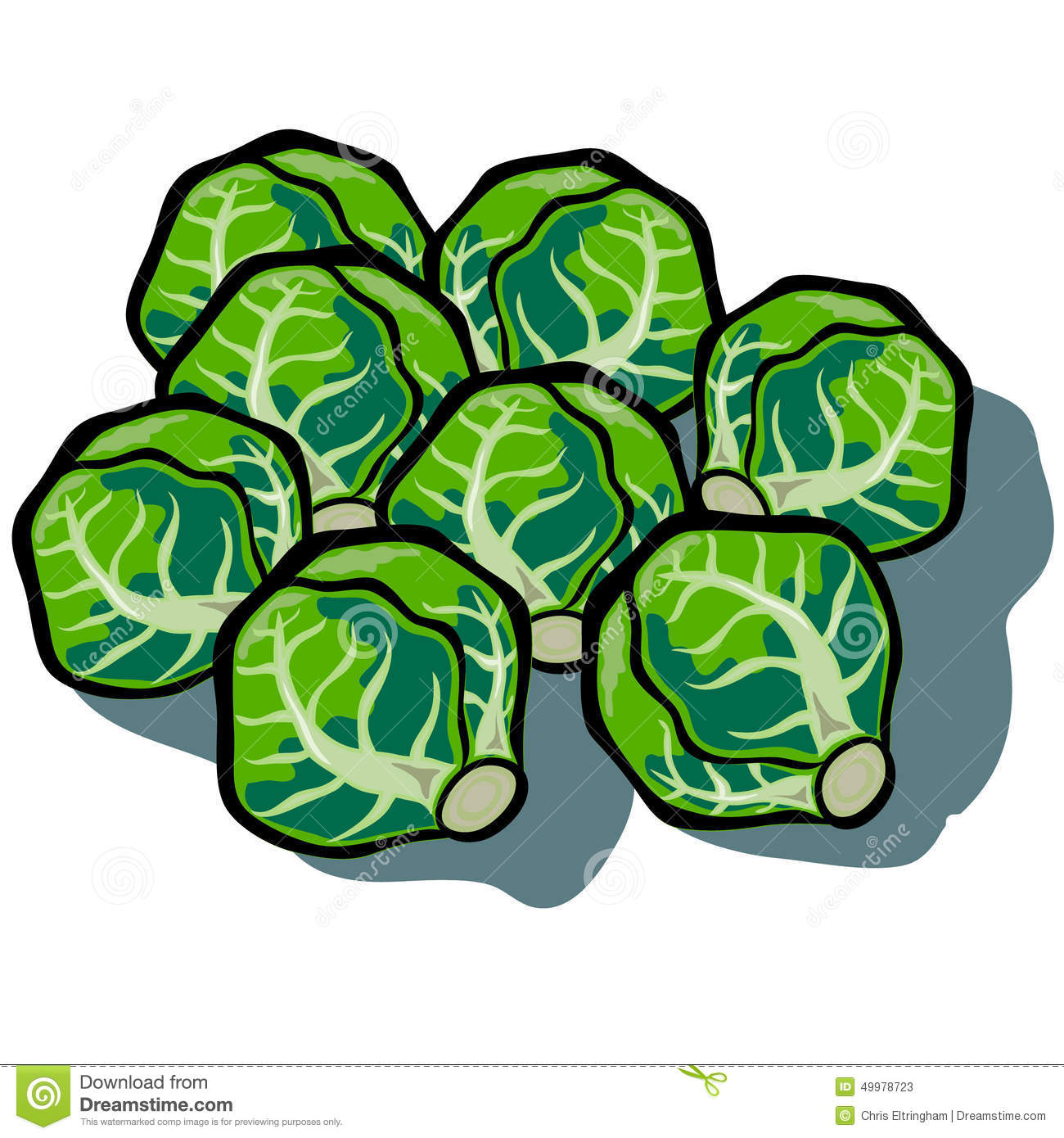 Brussels sprouts clipart 20 free Cliparts | Download images on
