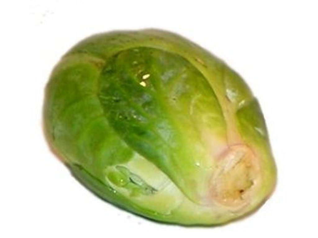 Free clipart brussel sprout character.