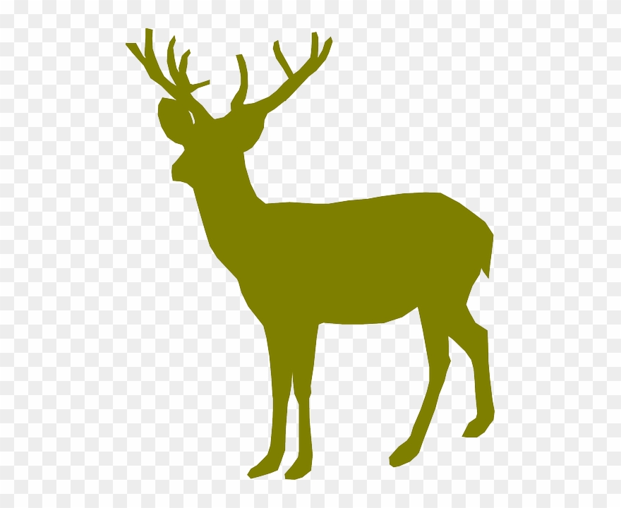 Image Free Stock Buck Clipart Green.