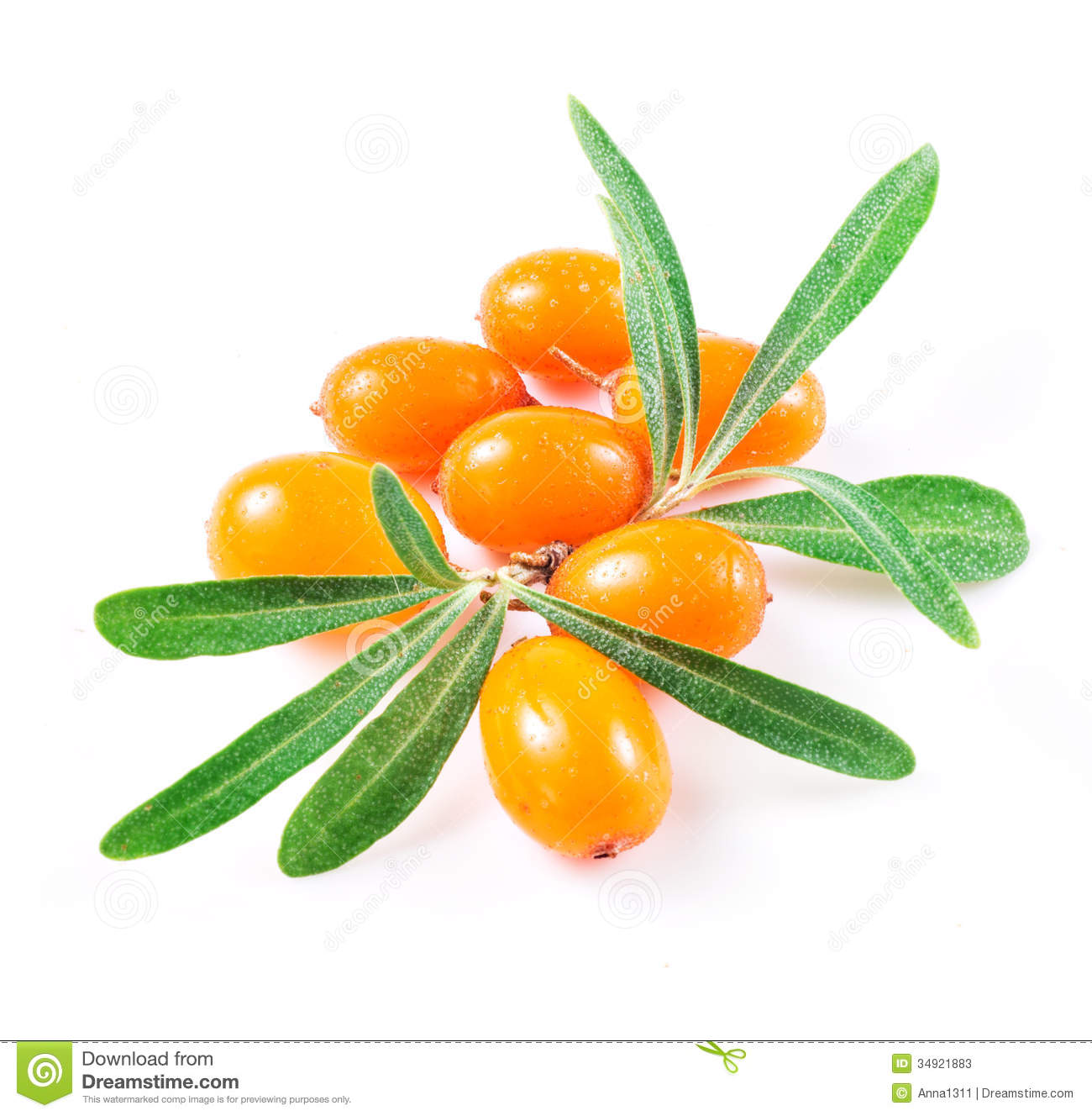 Sea Buckthorn Berries Isolated On The White Stock Photos.