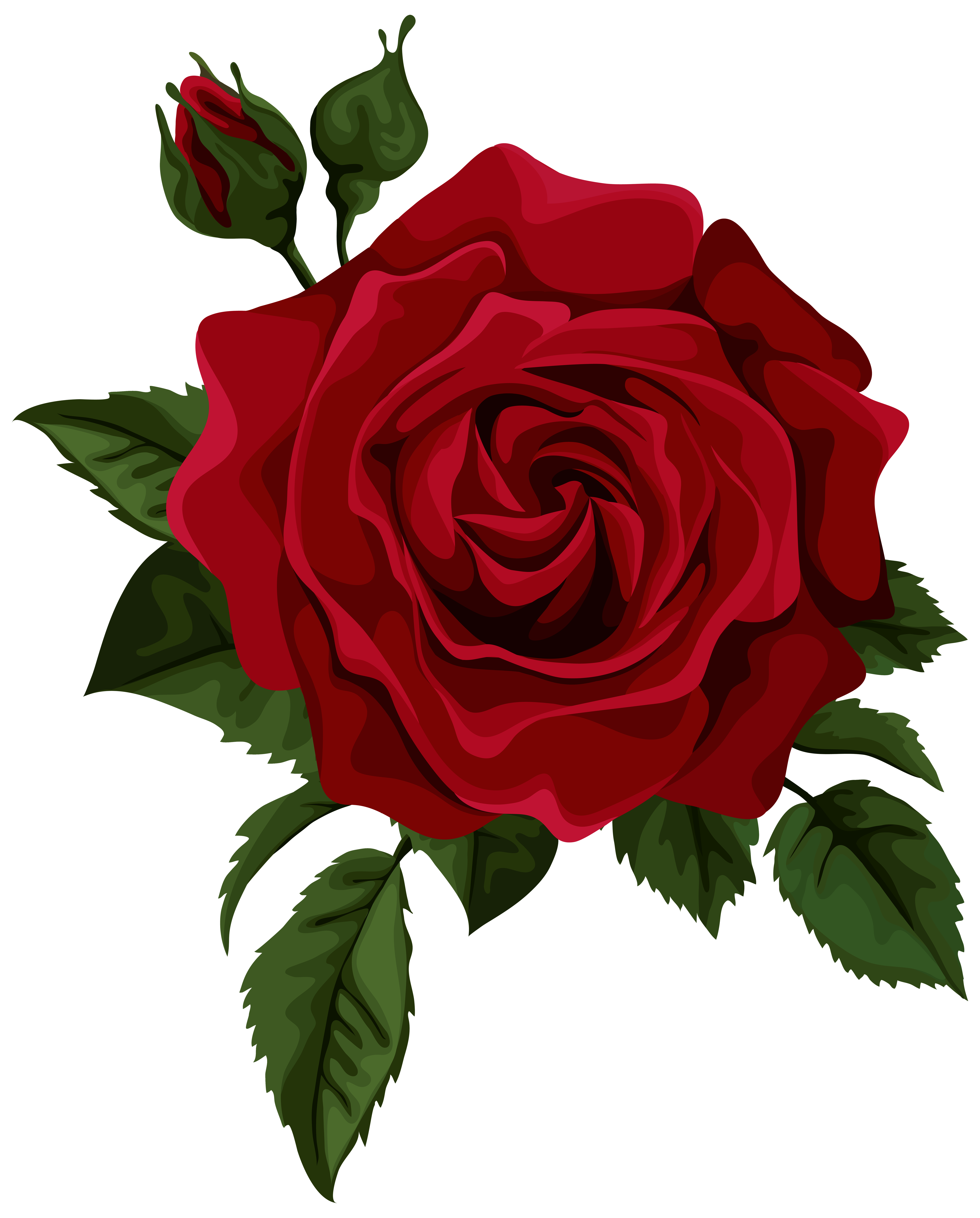 Rose red clipart 20 free Cliparts | Download images on Clipground 2021
