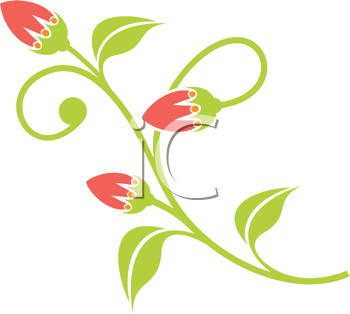 Clipart Image of Flower Buds Opening.