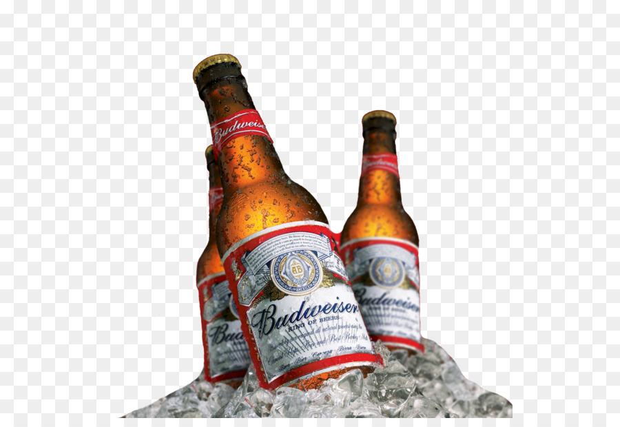budweiser bottle png 20 free Cliparts | Download images on Clipground 2021