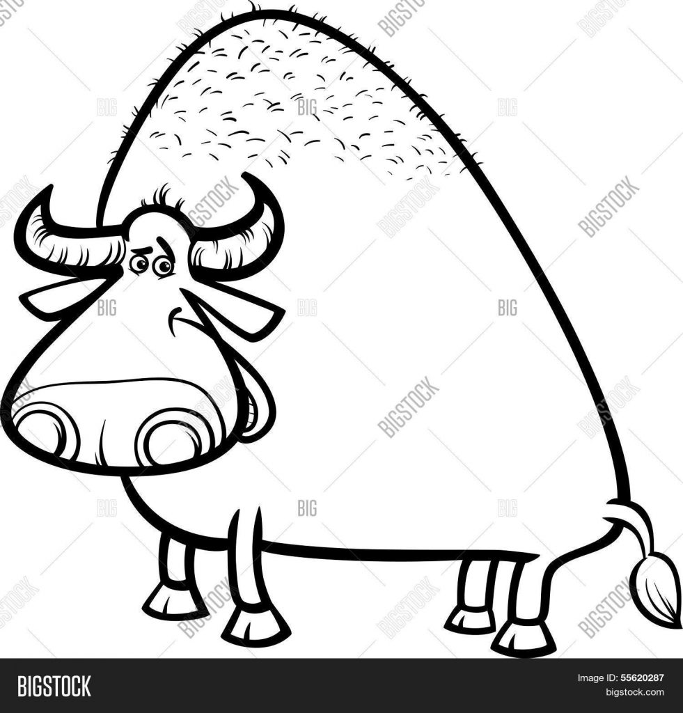 Buffalo Black And White Bill Drawing Crossword Clipart By La Times.