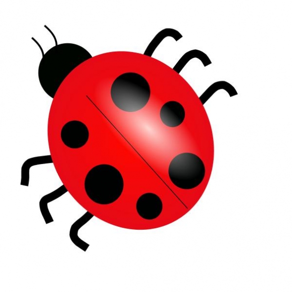 Bug Clipart & Bug Clip Art Images.