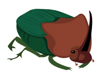 Free Insect Clipart.
