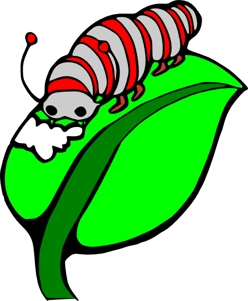 Insect Larva Clipart.