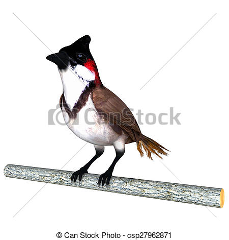 Bulbul Stock Photo Images. 501 Bulbul royalty free pictures and.