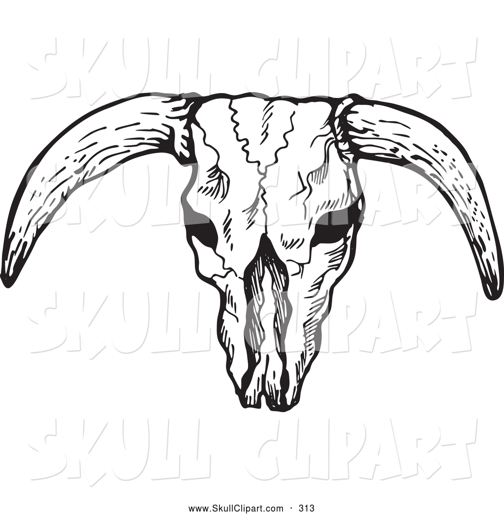 Vector Clip Art of a Black and White Bleached Bull Skull.