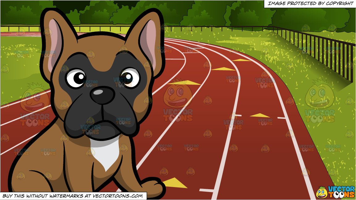 A Dumbfounded Brown French Bulldog and Outdoor Running Track Background.