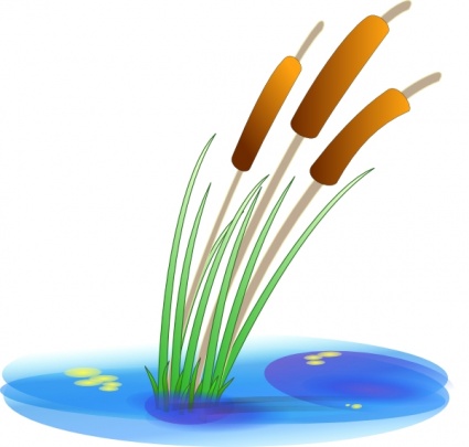 Bulrushes Clipart.