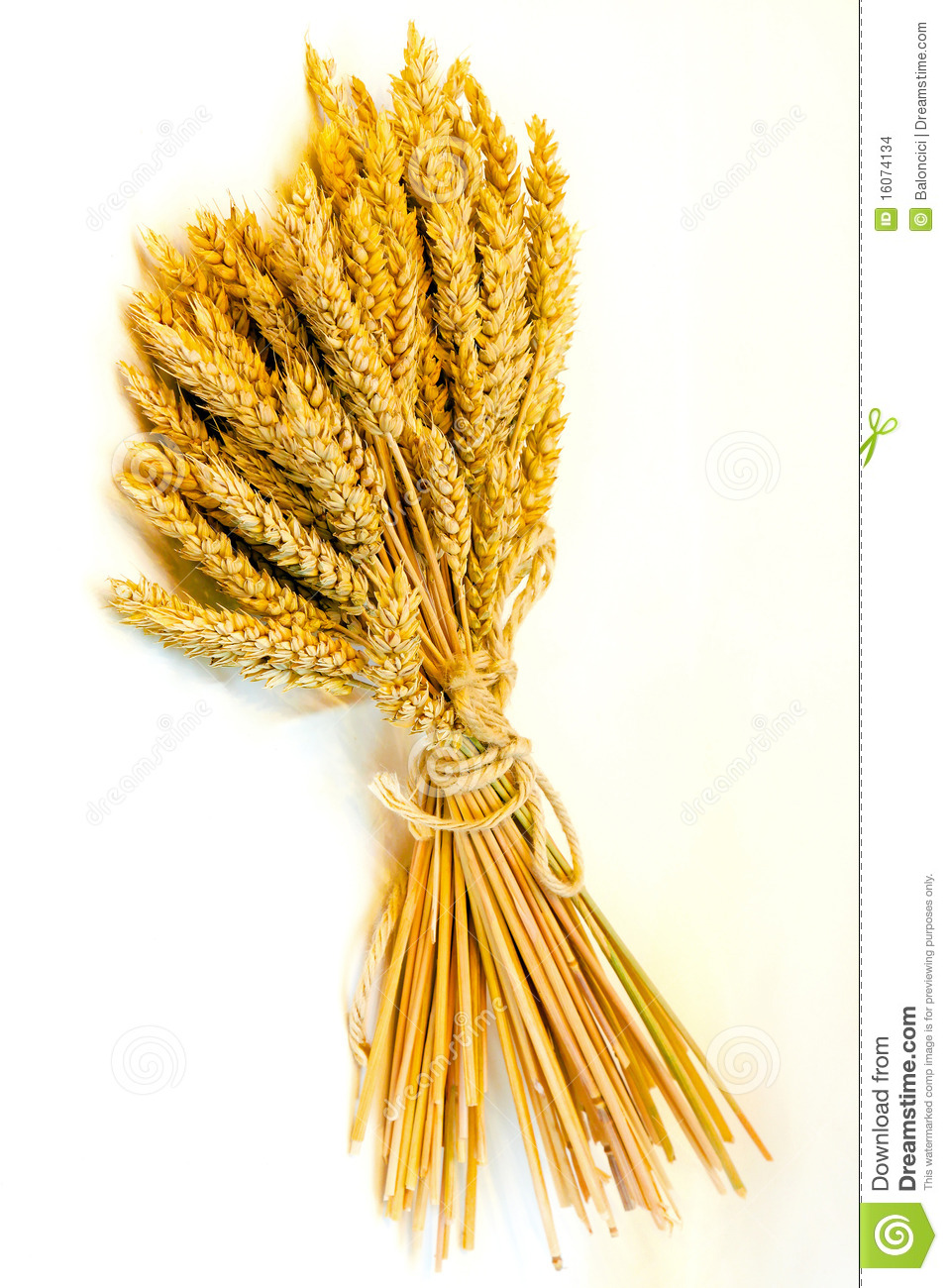 bundle of wheat clipart 20 free Cliparts | Download images on ...