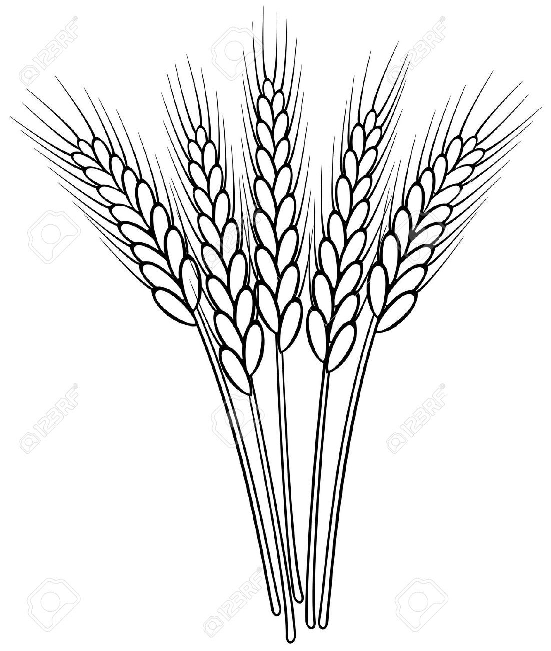small wheat sheaf vector.