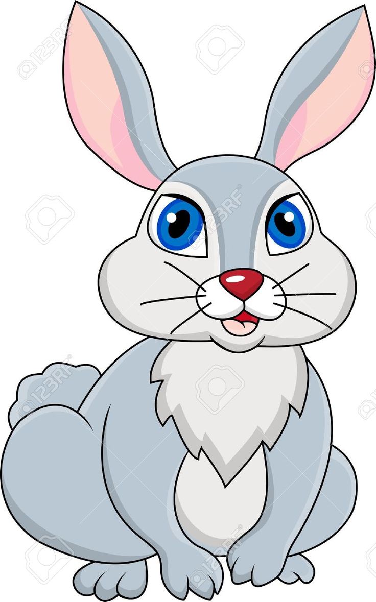 Cartoon Rabbit Image.