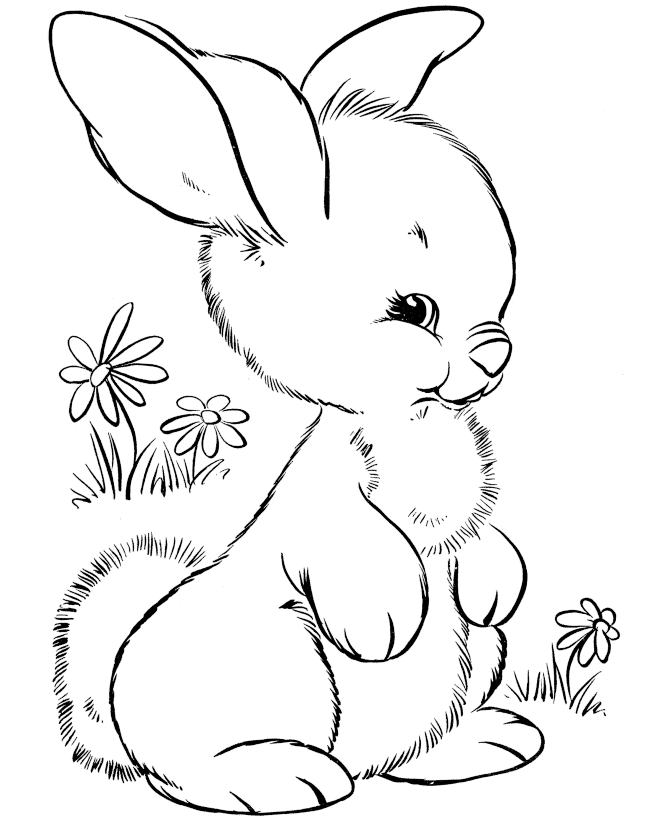 Free Rabbit Images Free, Download Free Clip Art, Free Clip Art on.