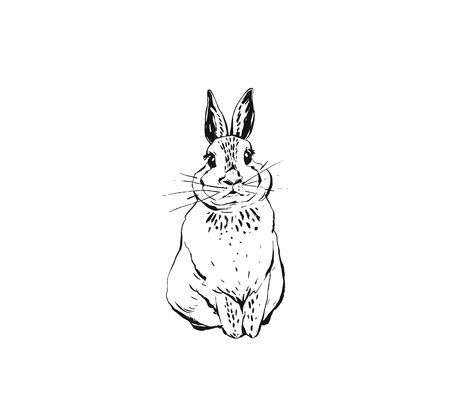 bunny drawings clip art 20 free Cliparts | Download images on ...